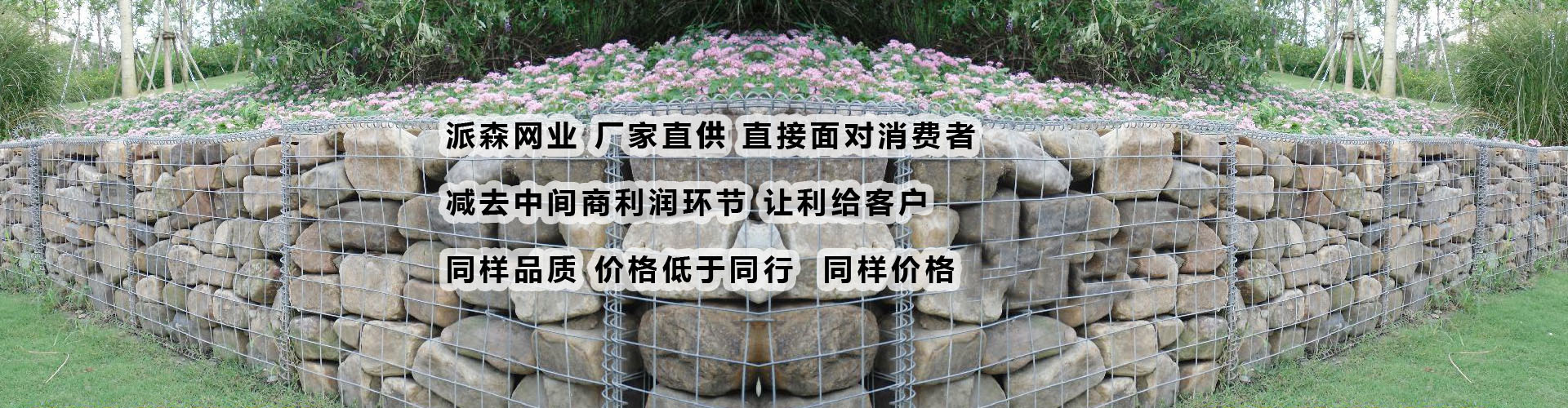 棲霞22